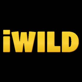iWild kasyno internetowe